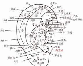 左耳輪有痣男|左耳垂有痣的男人代表什么？耳相学揭示人生奥秘